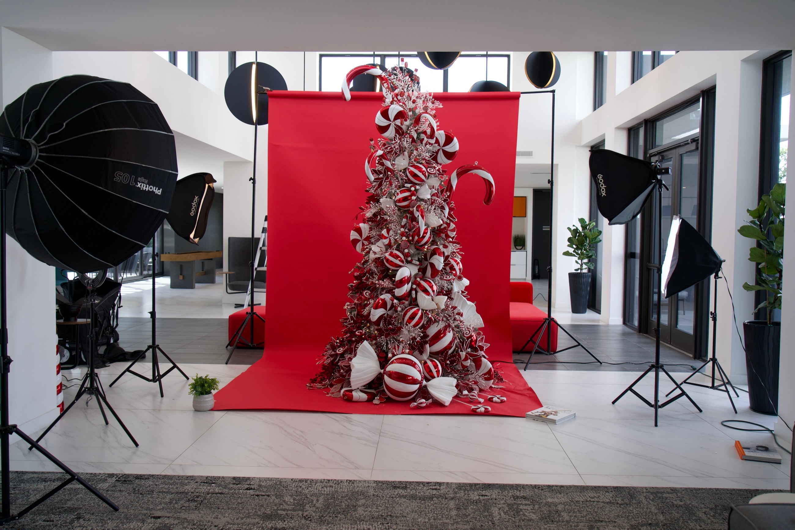 The Johan Nova studio: a candy-cane tree on a red backdrop, surrounded by studio lighting